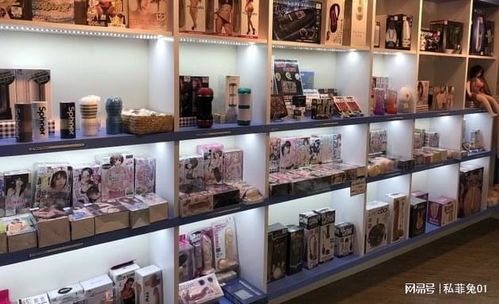 中國成人用品市場的迅猛發展與網店開設指南
