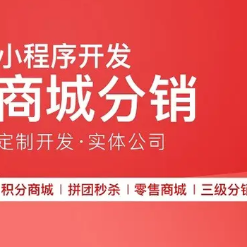 濰坊地區(qū)綜合類電商購物商城開發(fā)定制