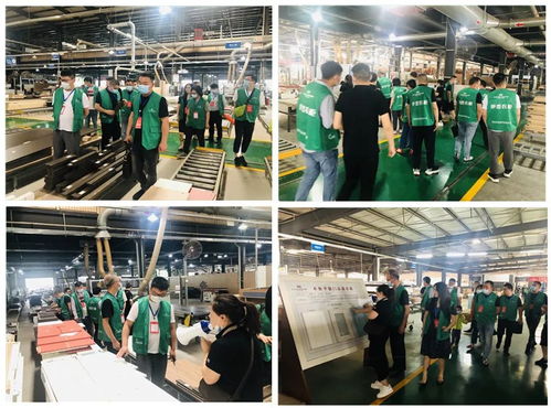 年中盛典，智造未來(lái) 619超級(jí)工廠購(gòu)暨財(cái)富品鑒會(huì)圓滿(mǎn)落幕，揭秘購(gòu)物商城定制新篇章